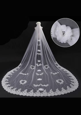 Cathedral Length Veil style 13